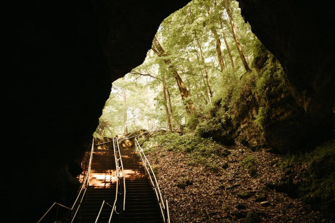 Mammoth Cave Lodge And Cabins Ngoại thất bức ảnh